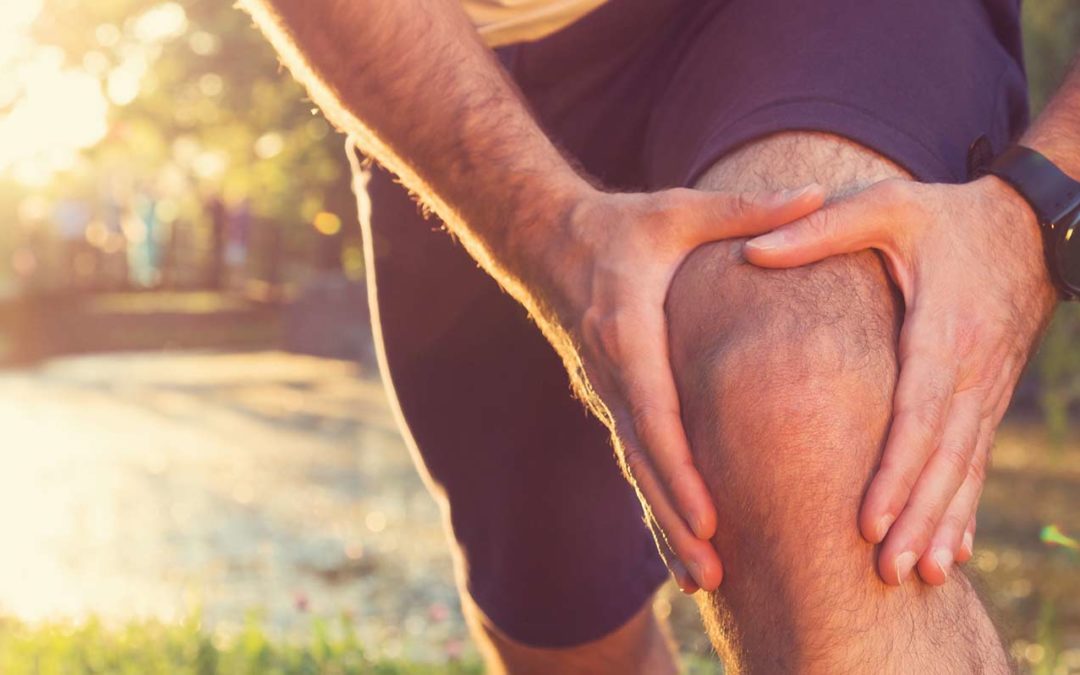Dr. Komenda Joins IRG Physical Therapy on KOMO